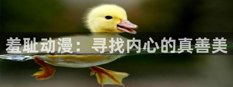 风车动漫在线高清免费观看：羞耻动漫：寻找内心的真善美