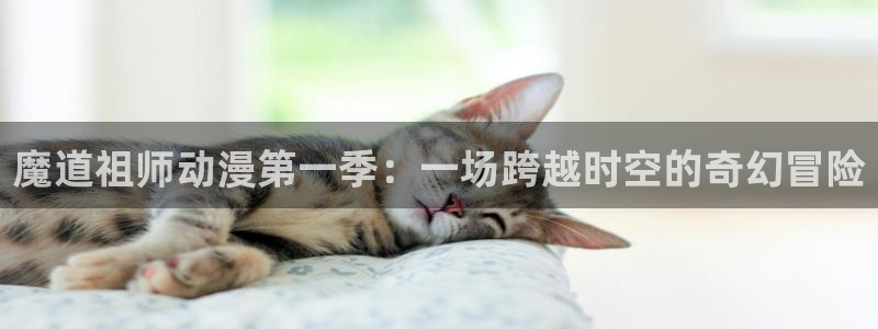 风车动漫(p)_专：魔道祖师动漫第一季：一场跨越时空的奇幻冒险