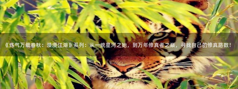 灵笼风车动漫：《炼气万载春秋：漫漫江湖》系列：从一统星河之始，到万年修真者之巅，寻找自己的修真路数！