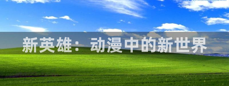 内衣办公室风车动漫：新英雄：动漫中的新世界