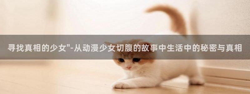 风车动漫下载手机版：寻找真相的少女\