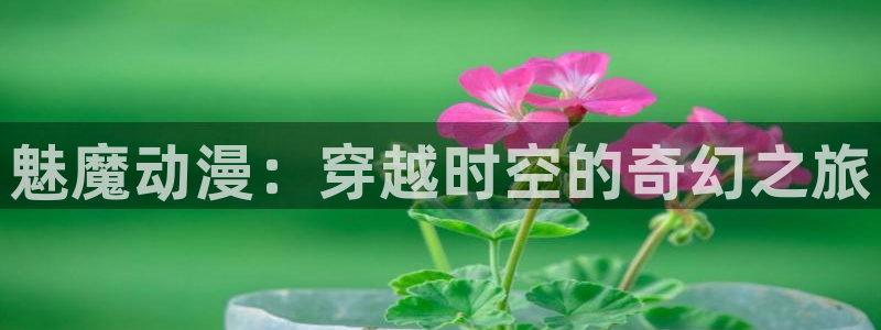 风车动漫网动漫在线：魅魔动漫：穿越时空的奇幻之旅